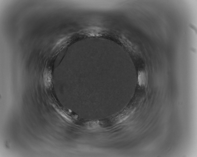 X0000095911444200801181345