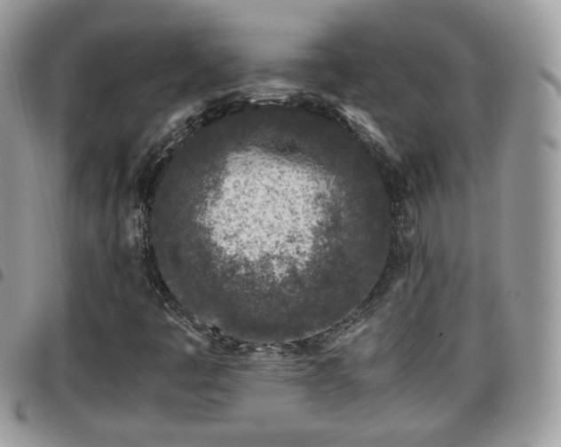 X0000095911445200801181345