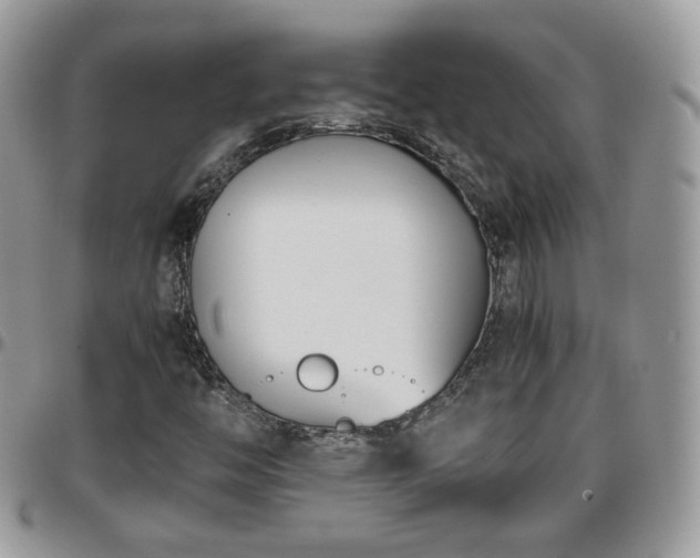 X0000095911446200801181345