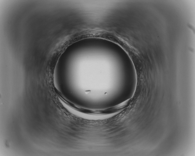 X0000095911447200801181345