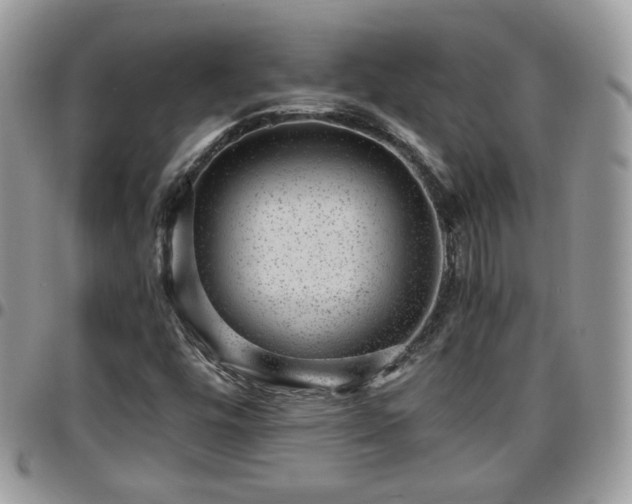 X0000095911448200801181345