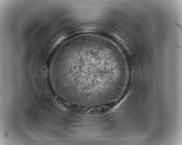 X0000095911449200801181345