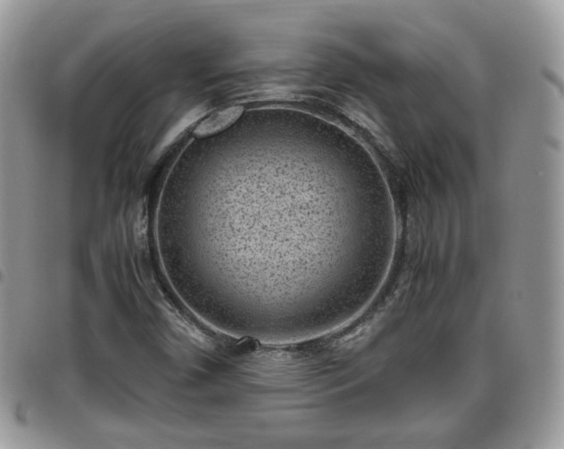 X0000095911450200801181345