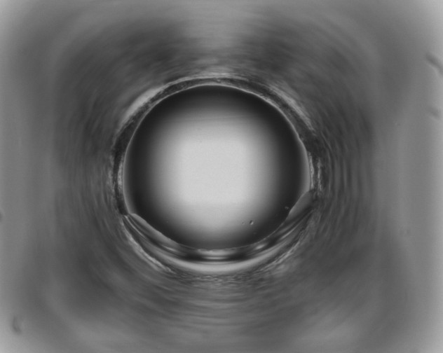 X0000095911452200801181345