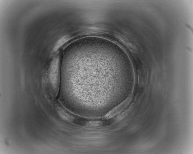 X0000095911453200801181345