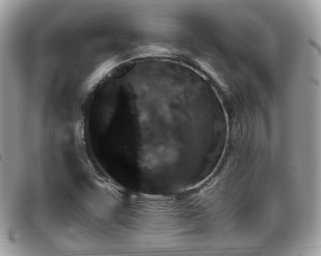 X0000095911455200801181345