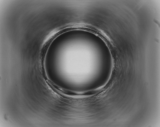 X0000095911456200801181345