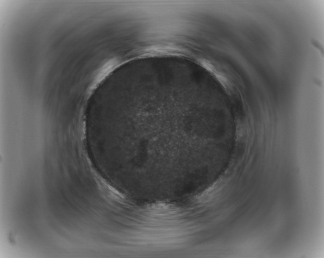 X0000095911459200801181345