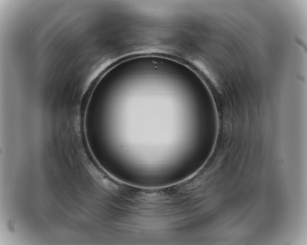 X0000095911460200801181345