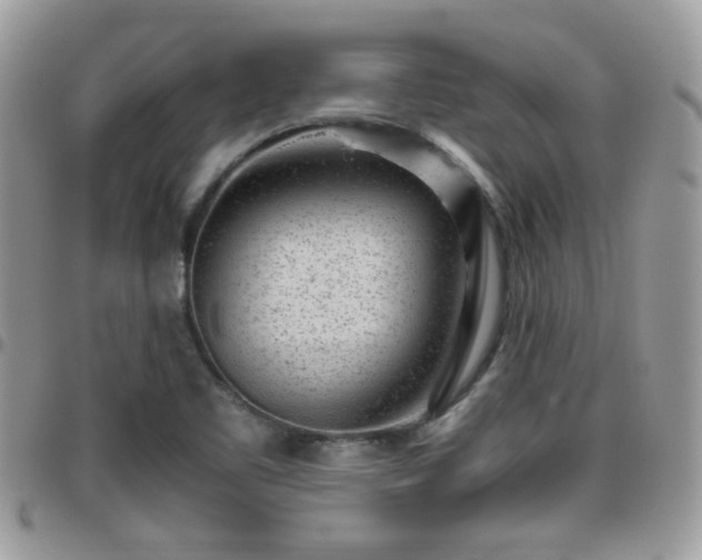 X0000095911461200801181345