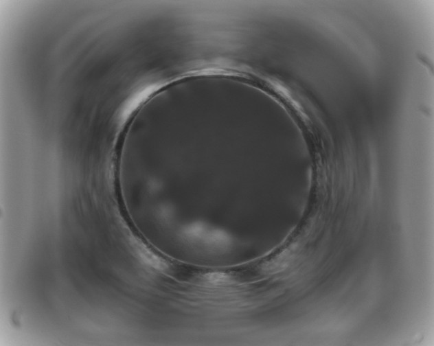 X0000095911463200801181345