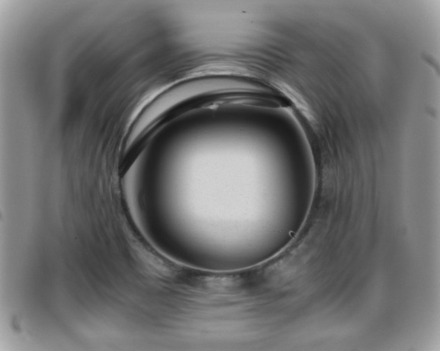 X0000095911465200801181345