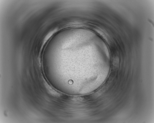 X0000095911466200801181345