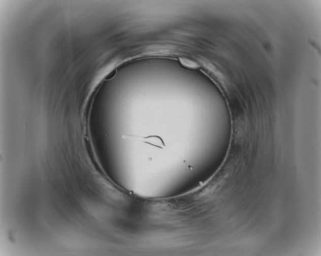 X0000095911467200801181345