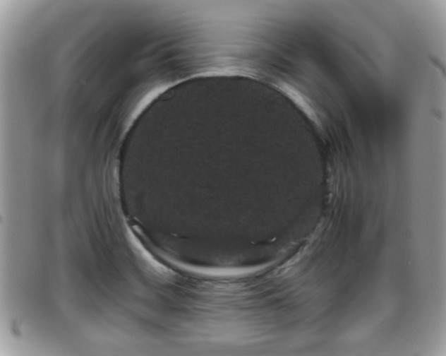 X0000095911468200801181345