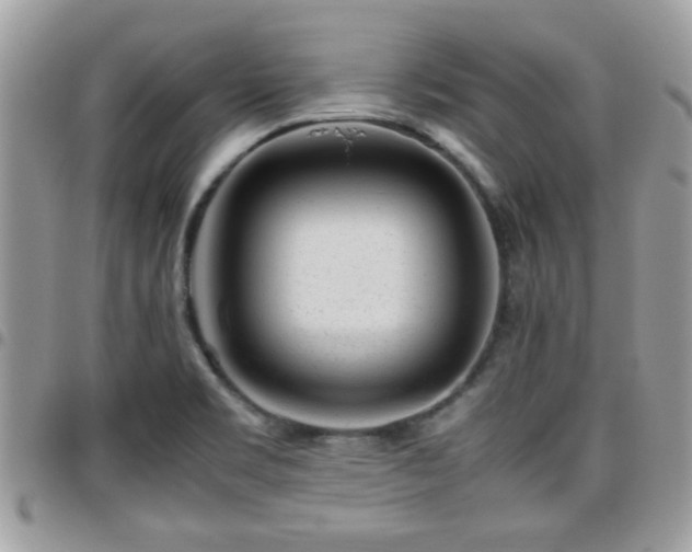 X0000095911469200801181345