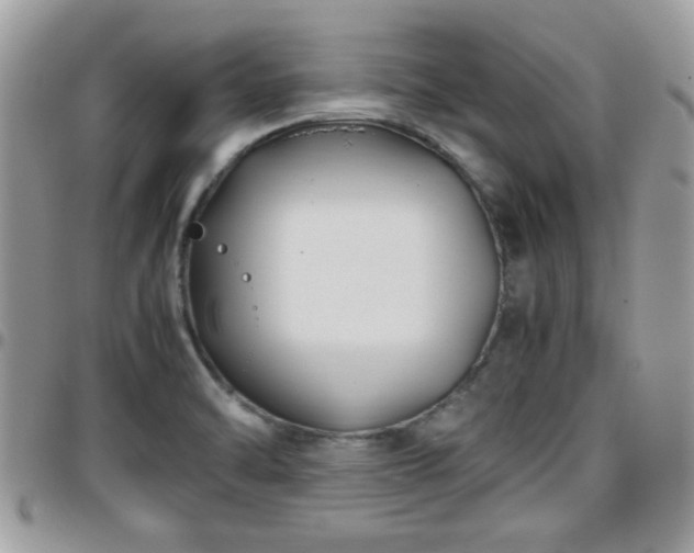 X0000095911470200801181345