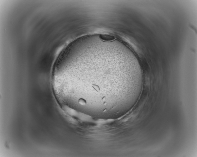 X0000095911471200801181345