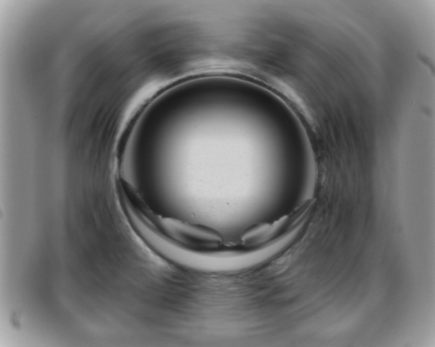 X0000095911472200801181345