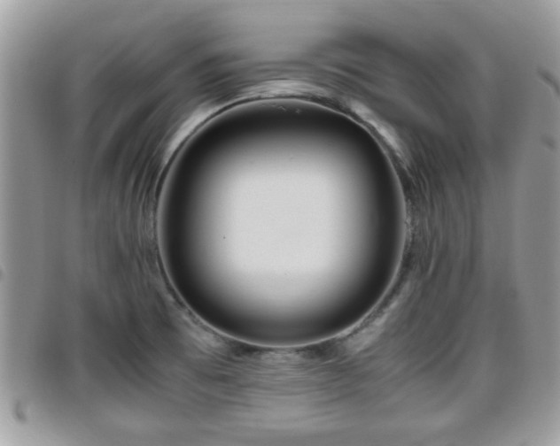 X0000095911473200801181345