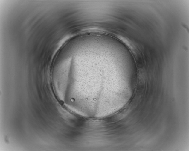 X0000095911474200801181345