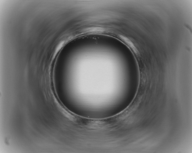 X0000095911475200801181345