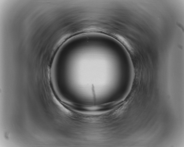 X0000095911476200801181345