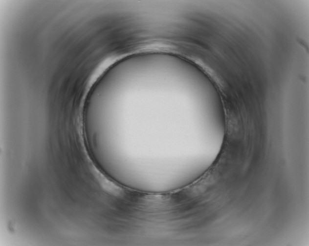 X0000095911478200801181345