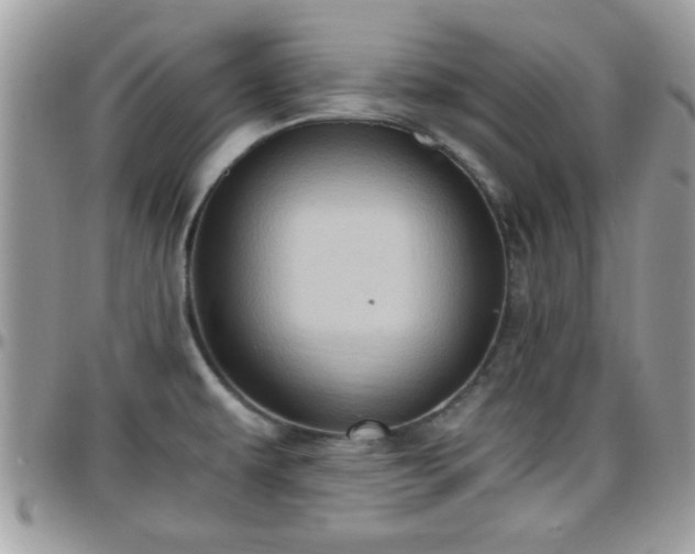 X0000095911479200801181345