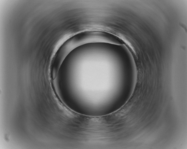 X0000095911480200801181345