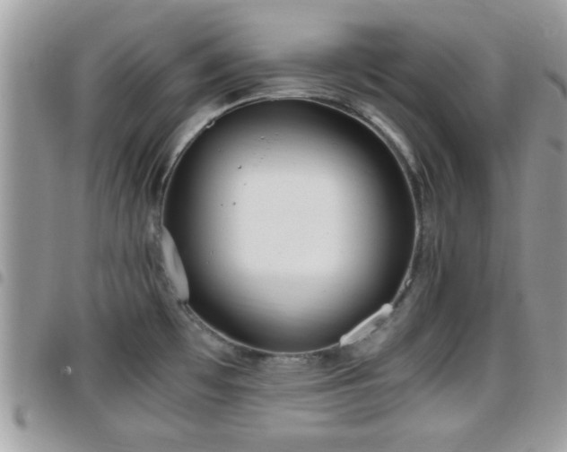 X0000095911481200801181345