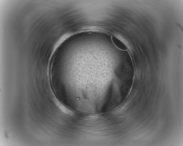 X0000095911482200801181345