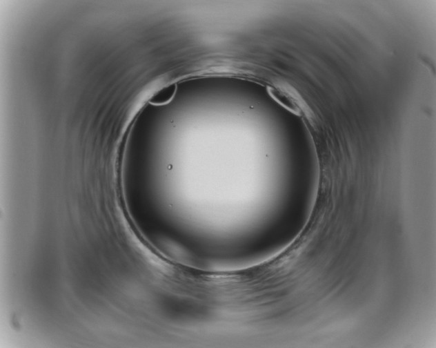 X0000095911483200801181345