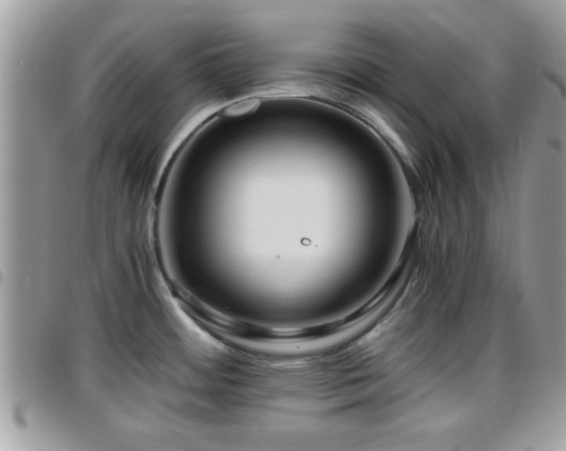 X0000095911484200801181345