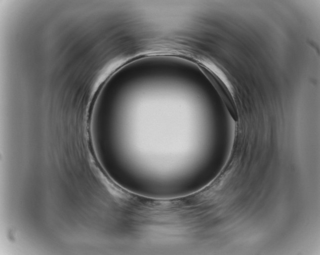 X0000095911485200801181345