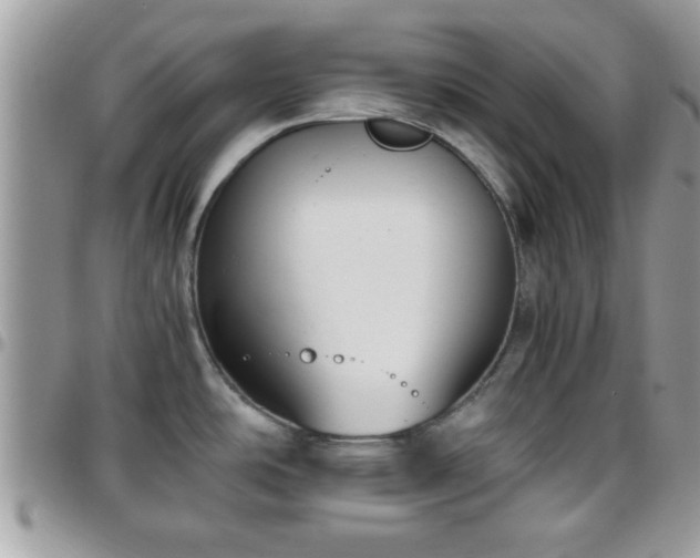 X0000095911486200801181345