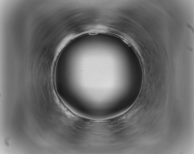 X0000095911488200801181345