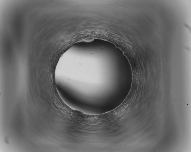 X0000095911489200801181344