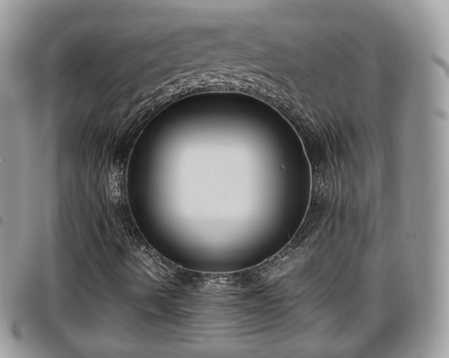 X0000095911490200801181344