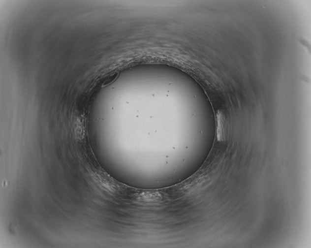 X0000095911491200801181344