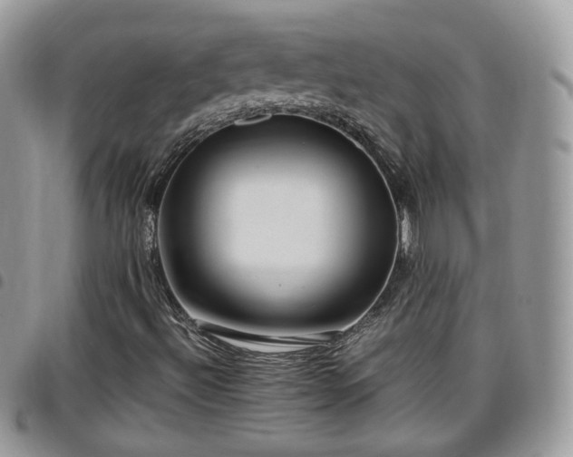 X0000095911492200801181344