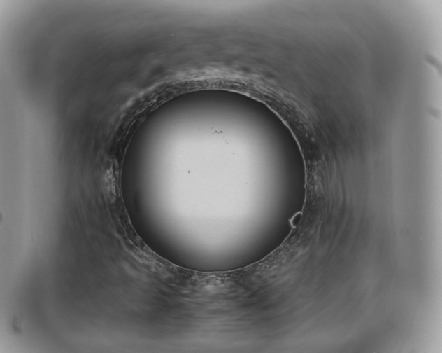 X0000095911493200801181344