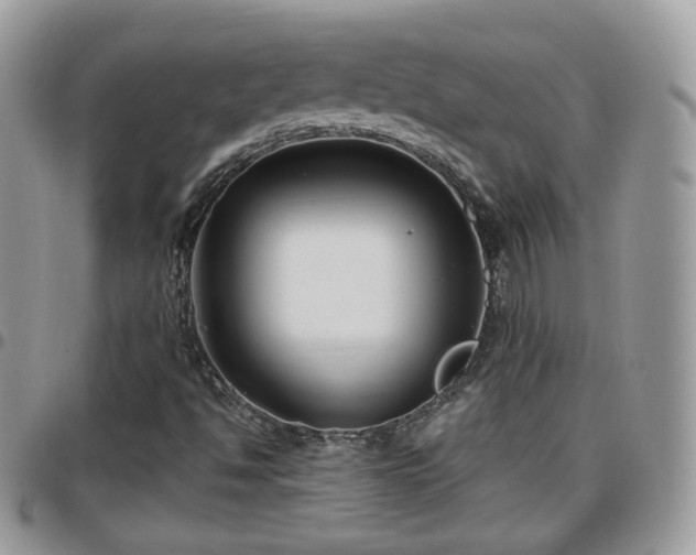 X0000095911494200801181344