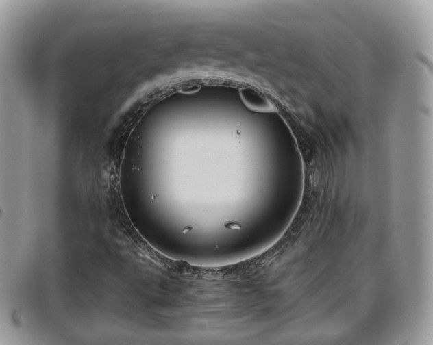 X0000095911495200801181344