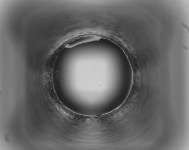 X0000095911496200801181344