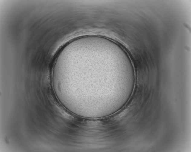 X0000095911498200801181344