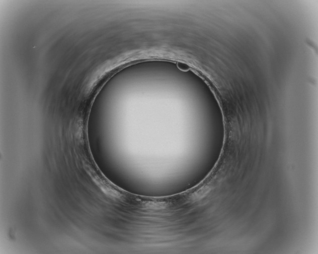 X0000095911499200801181344