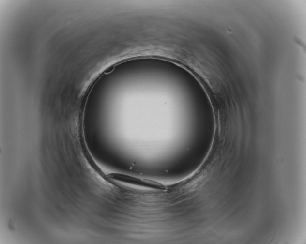 X0000095911500200801181344