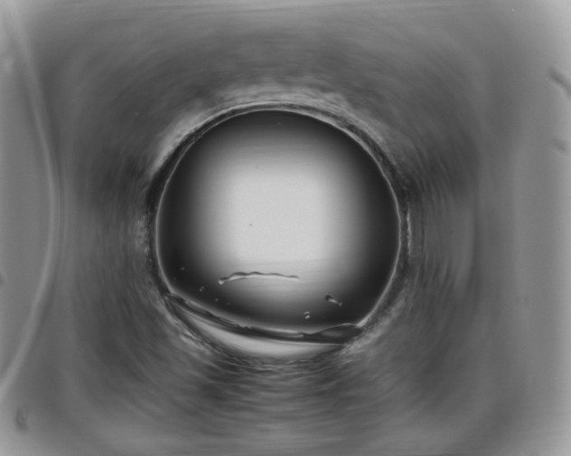 X0000095911501200801181344