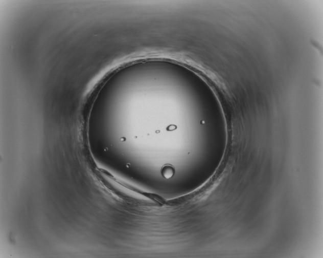 X0000095911502200801181344